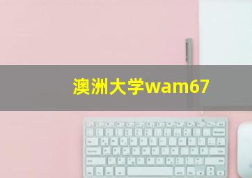 澳洲大学wam67