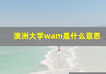 澳洲大学wam是什么意思