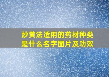 炒黄法适用的药材种类是什么名字图片及功效