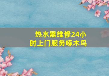 热水器维修24小时上门服务啄木鸟