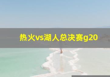 热火vs湖人总决赛g20