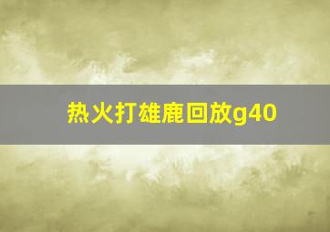 热火打雄鹿回放g40