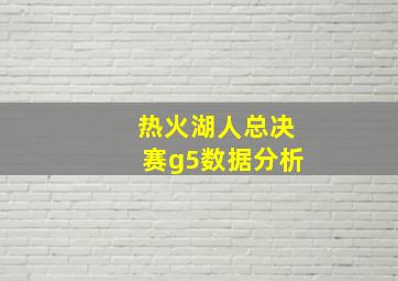 热火湖人总决赛g5数据分析