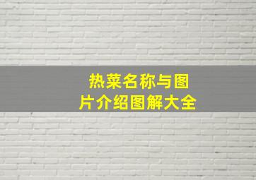 热菜名称与图片介绍图解大全