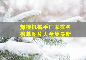 焊接机械手厂家排名榜单图片大全集最新