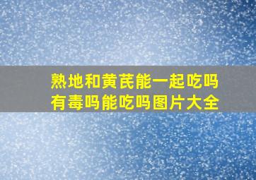 熟地和黄芪能一起吃吗有毒吗能吃吗图片大全