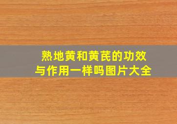 熟地黄和黄芪的功效与作用一样吗图片大全