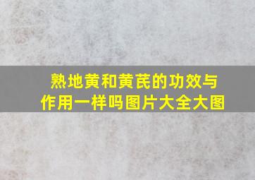 熟地黄和黄芪的功效与作用一样吗图片大全大图