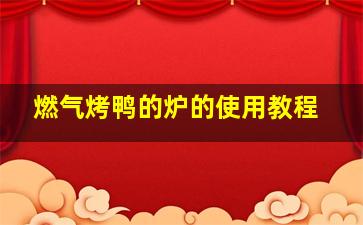 燃气烤鸭的炉的使用教程