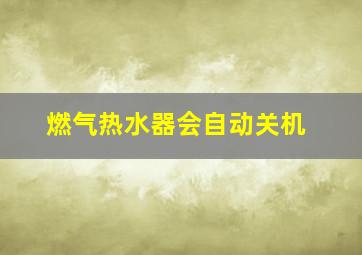 燃气热水器会自动关机