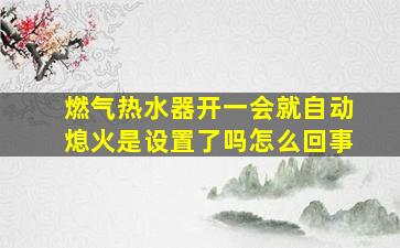 燃气热水器开一会就自动熄火是设置了吗怎么回事