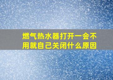 燃气热水器打开一会不用就自己关闭什么原因