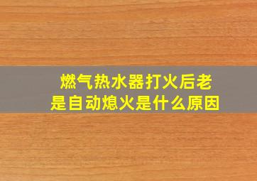 燃气热水器打火后老是自动熄火是什么原因