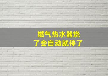 燃气热水器烧了会自动就停了