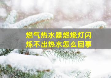 燃气热水器燃烧灯闪烁不出热水怎么回事