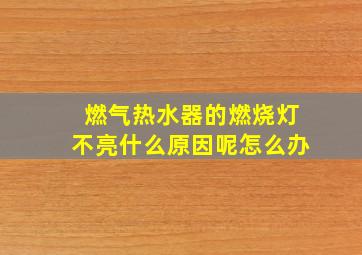 燃气热水器的燃烧灯不亮什么原因呢怎么办