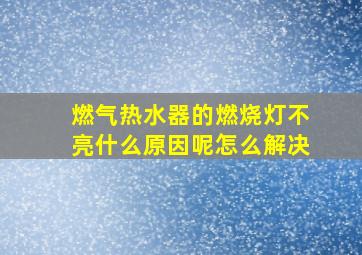 燃气热水器的燃烧灯不亮什么原因呢怎么解决