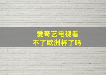 爱奇艺电视看不了欧洲杯了吗