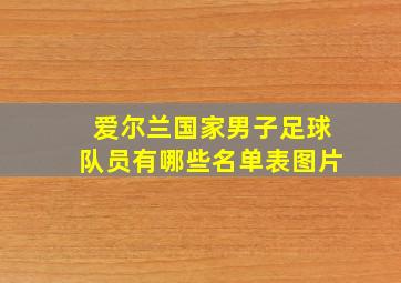 爱尔兰国家男子足球队员有哪些名单表图片