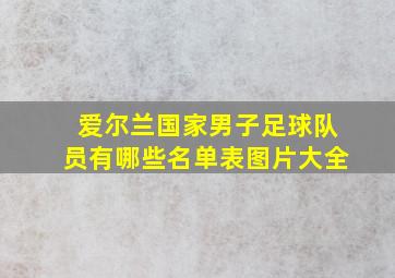 爱尔兰国家男子足球队员有哪些名单表图片大全