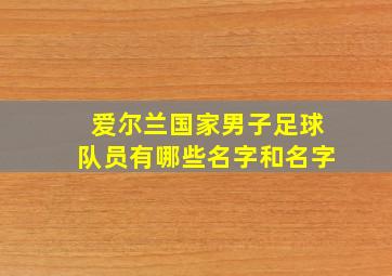 爱尔兰国家男子足球队员有哪些名字和名字