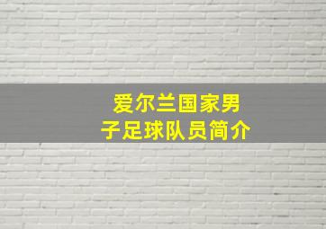 爱尔兰国家男子足球队员简介