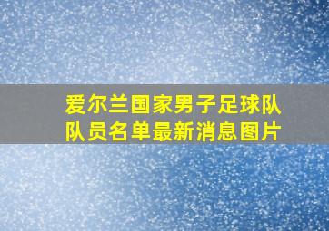 爱尔兰国家男子足球队队员名单最新消息图片