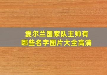 爱尔兰国家队主帅有哪些名字图片大全高清