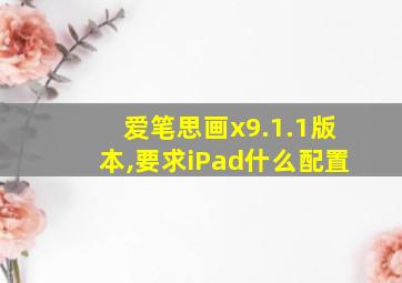 爱笔思画x9.1.1版本,要求iPad什么配置