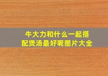 牛大力和什么一起搭配煲汤最好呢图片大全