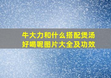 牛大力和什么搭配煲汤好喝呢图片大全及功效