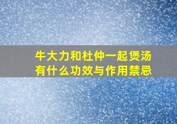 牛大力和杜仲一起煲汤有什么功效与作用禁忌