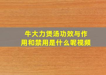 牛大力煲汤功效与作用和禁用是什么呢视频