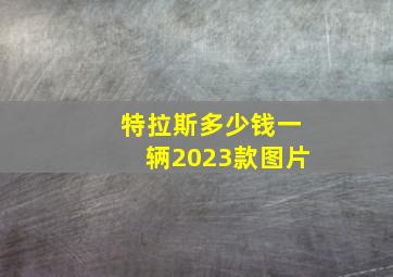 特拉斯多少钱一辆2023款图片