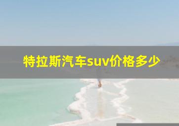 特拉斯汽车suv价格多少