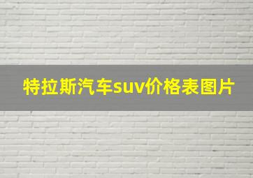 特拉斯汽车suv价格表图片