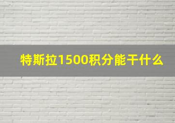 特斯拉1500积分能干什么