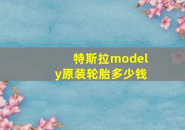 特斯拉modely原装轮胎多少钱