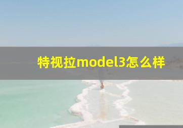 特视拉model3怎么样