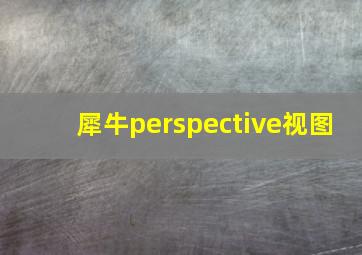 犀牛perspective视图