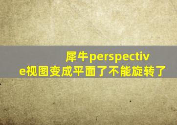 犀牛perspective视图变成平面了不能旋转了