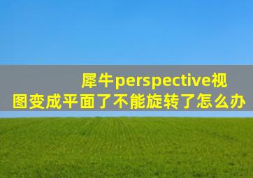 犀牛perspective视图变成平面了不能旋转了怎么办