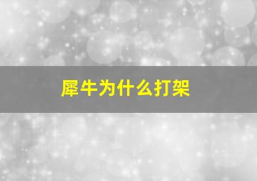 犀牛为什么打架