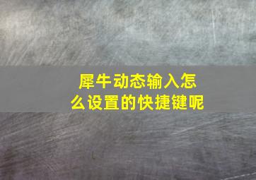 犀牛动态输入怎么设置的快捷键呢