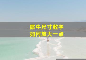 犀牛尺寸数字如何放大一点