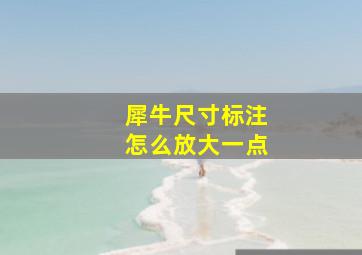 犀牛尺寸标注怎么放大一点