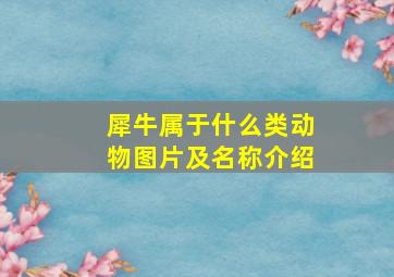 犀牛属于什么类动物图片及名称介绍