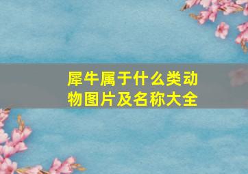 犀牛属于什么类动物图片及名称大全