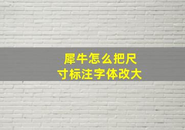 犀牛怎么把尺寸标注字体改大