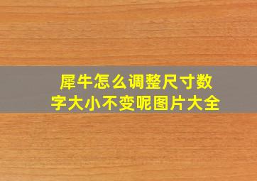 犀牛怎么调整尺寸数字大小不变呢图片大全